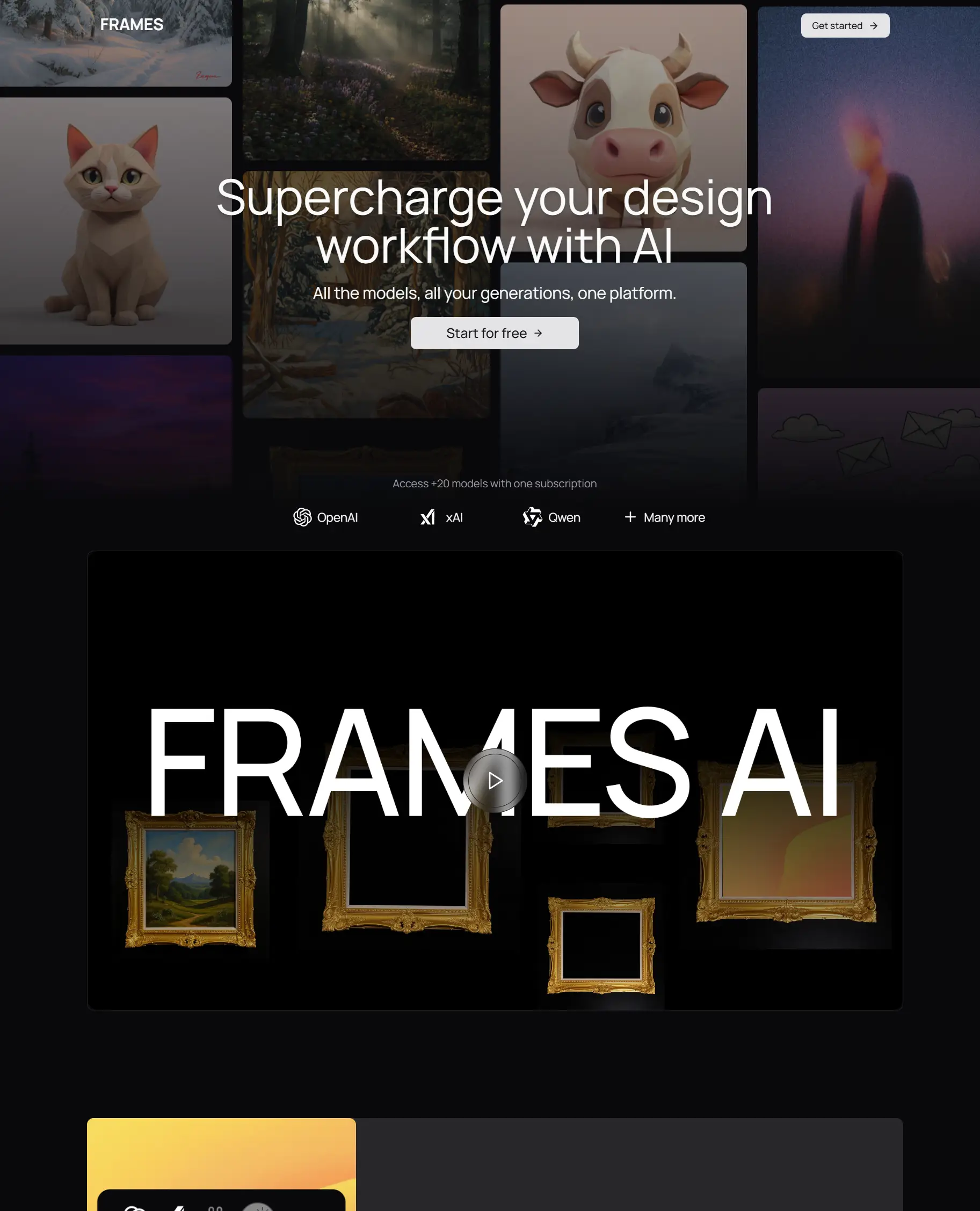 Website showcase