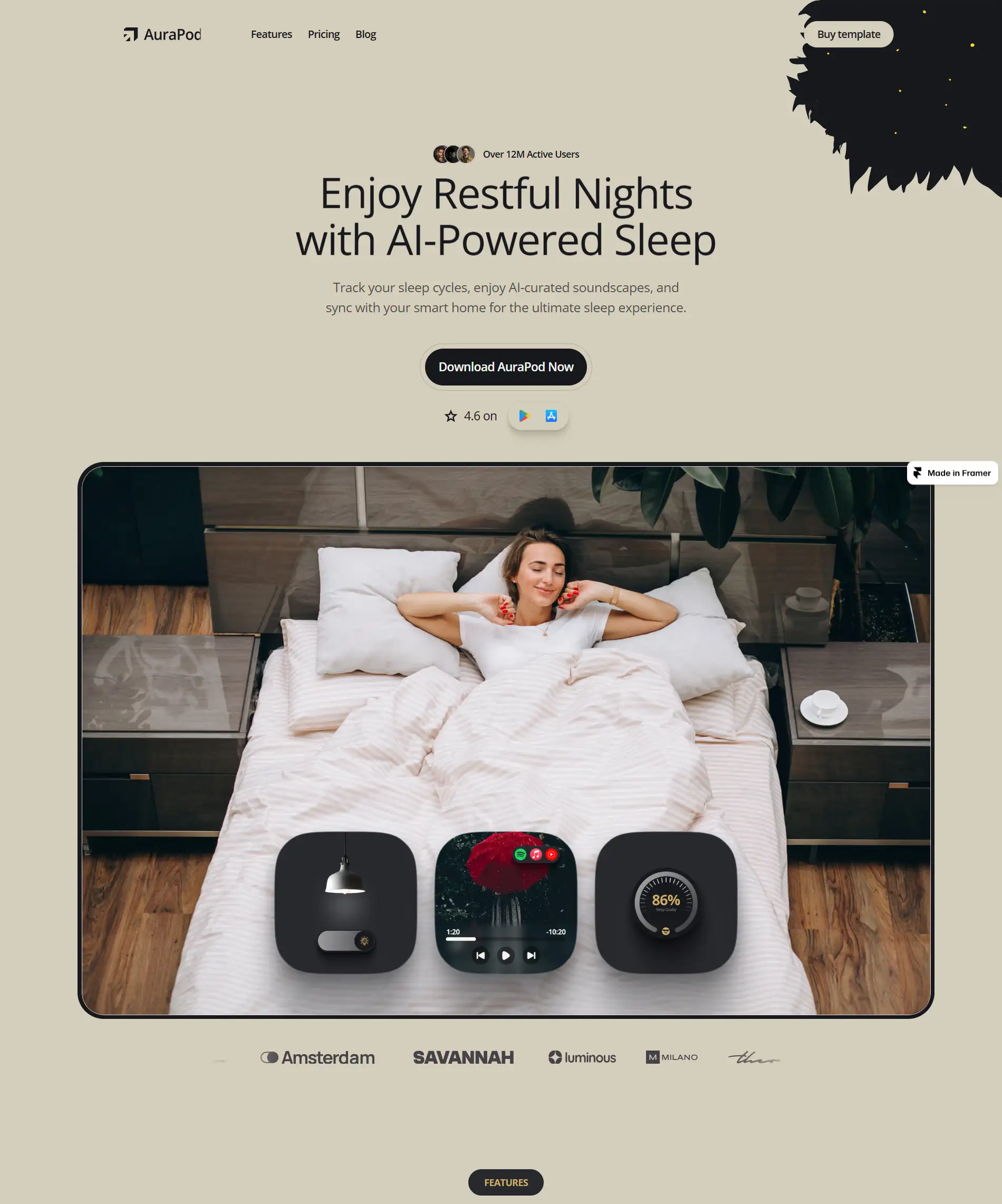Website showcase