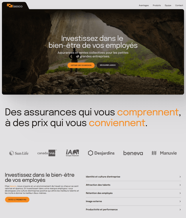 Website showcase 1
